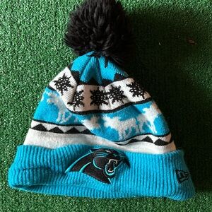 NFL Carolina Panthers toboggan!